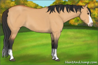 Horse Color:Bay Dun Splash Frame