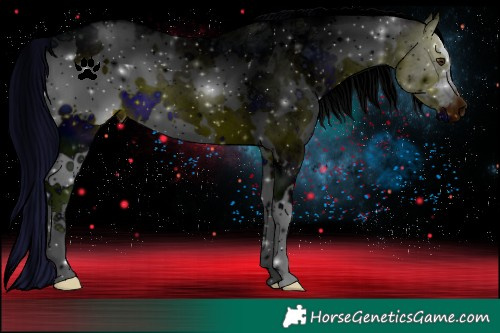 Horse Color:ERROR: UNKNOWN ANOMALY