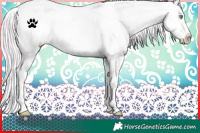 Horse Color:Watercolor White Spotted Silver Amber Champagne Appaloosa 