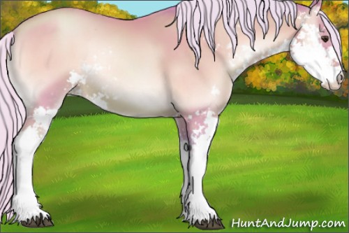 Horse Color:Watercolor Silver Brown Pearl Onyx Sabino 