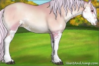 Horse Color:Watercolor Silver Brown Pearl Onyx Sabino