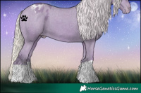 Horse Color:Watercolor Silver Black Appaloosa
