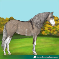 Horse Color:Silver Brown Dun Sabino 
