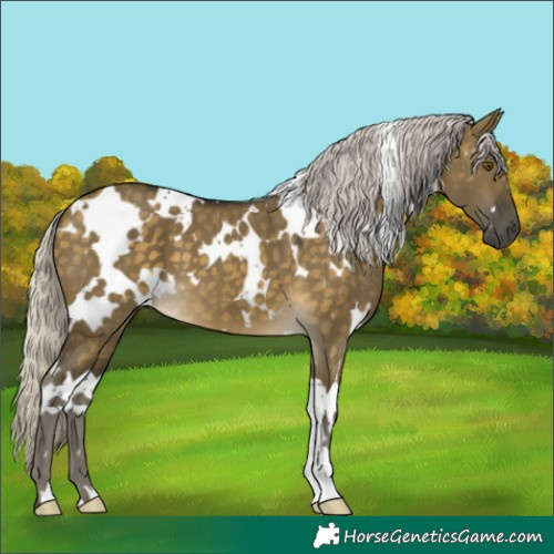 Horse Color:White Spotted Silver Buckskin Dun Mushroom 