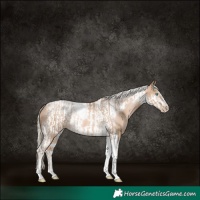 Horse Color:Chocolate Palomino Pearl Tobiano Frame  and Chocolate Palomino Pearl Tobiano Frame 