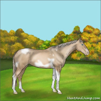 Horse Color:Chocolate Palomino Pearl Tobiano Frame  and Chocolate Palomino Pearl Tobiano Frame 