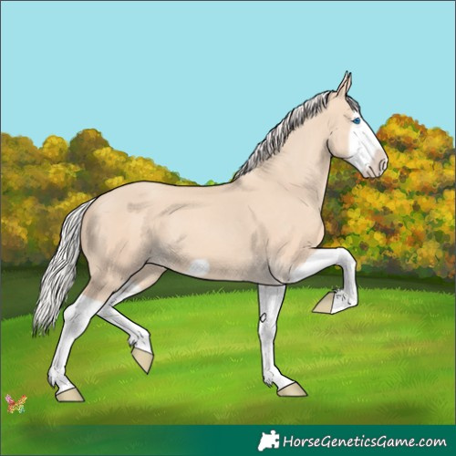Horse Color:Silver Classic Champagne Dun Splash Frame