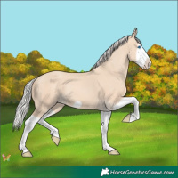 Horse Color:Silver Classic Champagne Dun Splash Frame 
