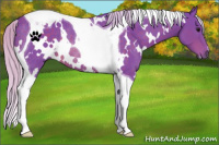 Horse Color:Watercolor White Spotted Silver Brown Tobiano Rabicano