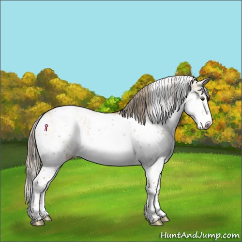 Horse Color:Chocolate Palomino Dun Sabino Varnish Rabicano 