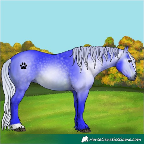Horse Color:Gray Watercolor Silver Brown
