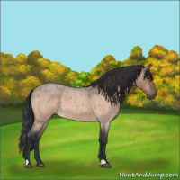 Horse Color:Bay Roan Dun 