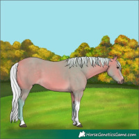 Horse Color:Watercolor Chocolate Silver Buckskin Tobiano 