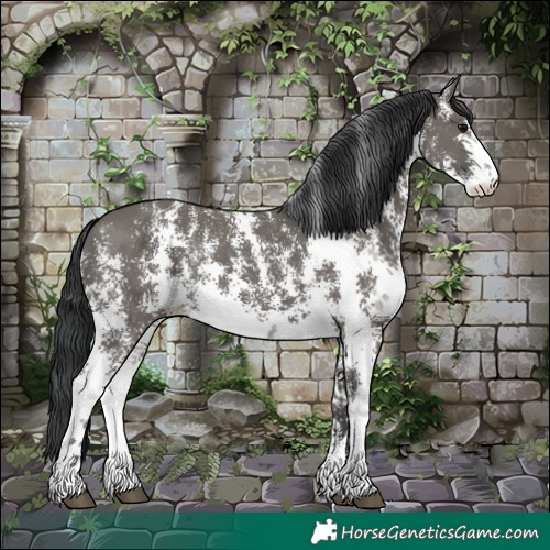 Horse Color:Grullo Sabino Rabicano 