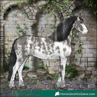 Horse Color:Grullo Sabino Rabicano