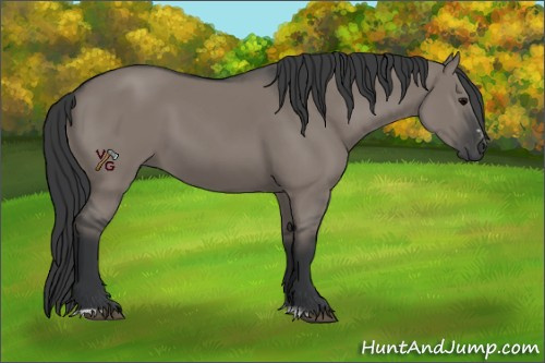 Horse Color:Grullo Sabino Rabicano 