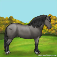 Horse Color:Grullo Sabino Rabicano 