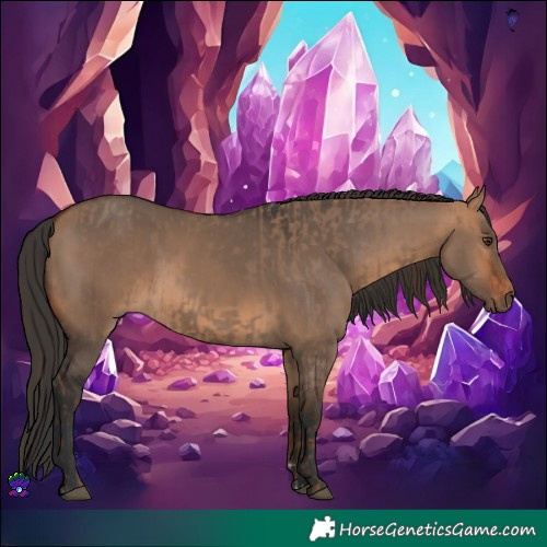 Horse Color:Liver Red Dun  and Brown Dun 