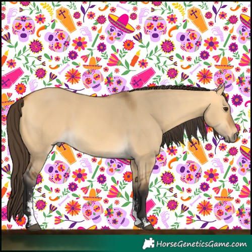 Horse Color:Buckskin Dun Sabino 