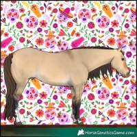 Horse Color:Buckskin Dun Sabino 