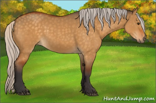 Horse Color:Silver Buckskin Dun 