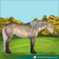 Horse Color:Silver Buckskin Dun 
