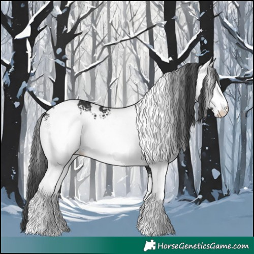Horse Color:White Spotted Black