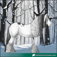 Horse Color:White Spotted Black 
