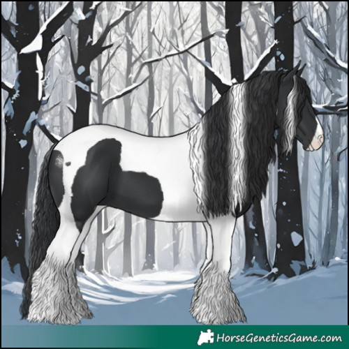 Horse Color:Black Tobiano