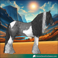 Horse Color:Black Tobiano 