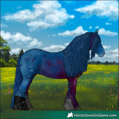 Horse Color:ERROR: UNKNOWN ANOMALY