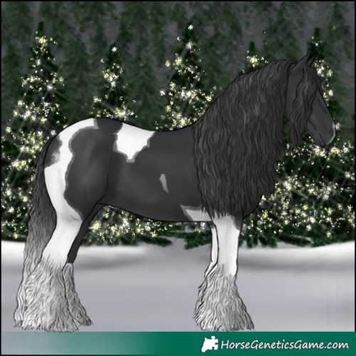 Horse Color:Black Tobiano
