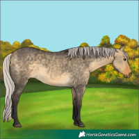 Horse Color:Silver Buckskin Dun 