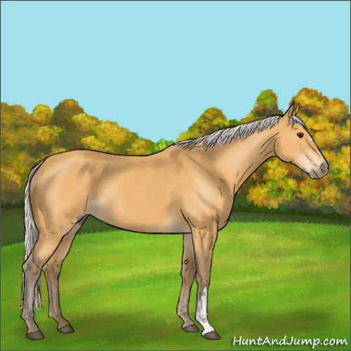 Horse Color:Silver Buckskin Roan 