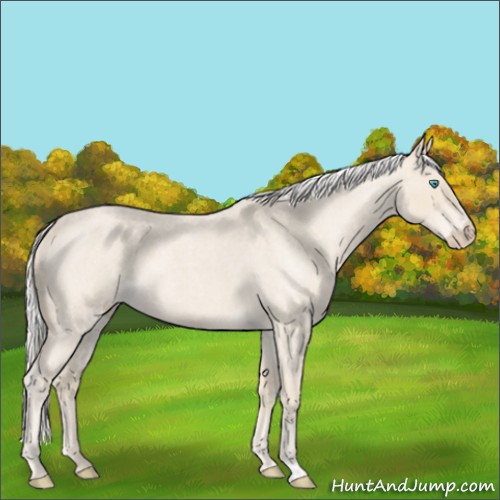 Horse Color:Silver Smoky Creme Roan 