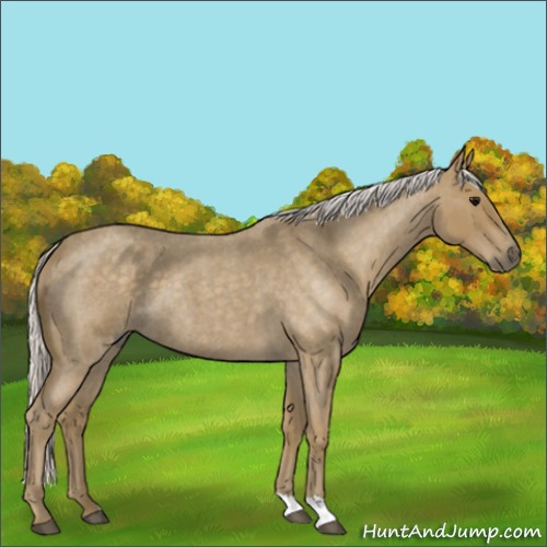 Horse Color:Silver Smoky Blue Roan 