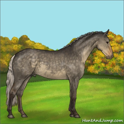 Horse Color:Silver Smoky Grullo 