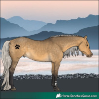 Horse Color:Silver Buckskin Dun 