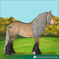 Horse Color:Silver Buckskin Dun 