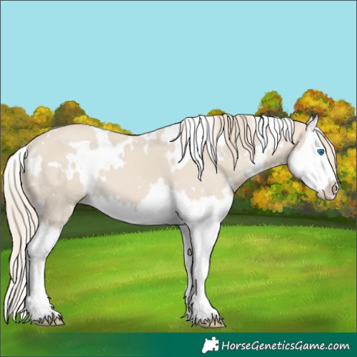 Horse Color:White Spotted Smoky Creme Splash