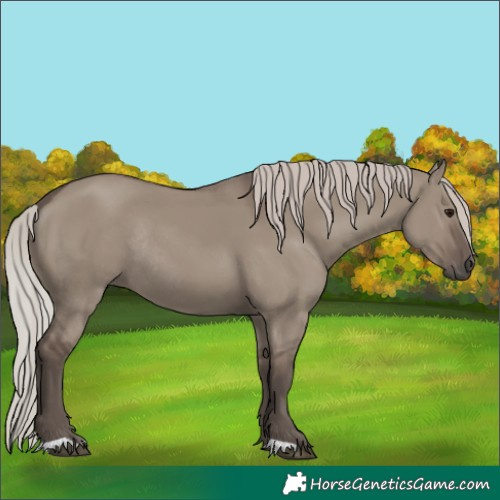 Horse Color:Silver Grullo Rabicano