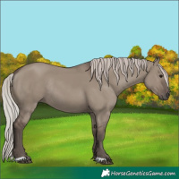 Horse Color:Silver Grullo Rabicano