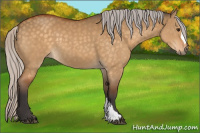 Horse Color:Silver Buckskin Dun 