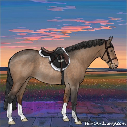 Horse Color:Bay Dun Rabicano 