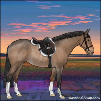 Horse Color:Bay Dun Rabicano 