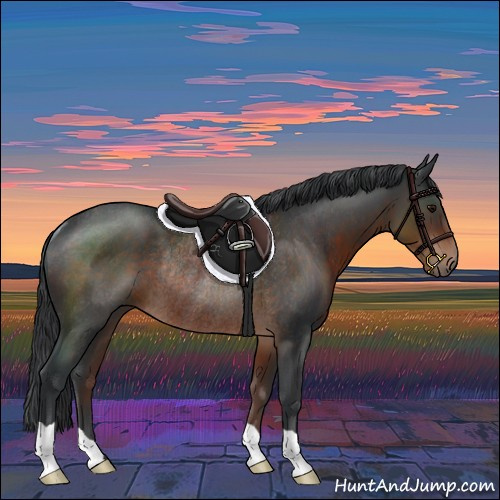 Horse Color:Brown Rabicano 