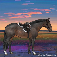 Horse Color:Brown Rabicano 
