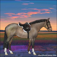 Horse Color:Brown Dun Rabicano