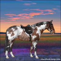 Horse Color:White Spotted Brown Rabicano 