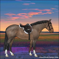 Horse Color:Brown Dun 